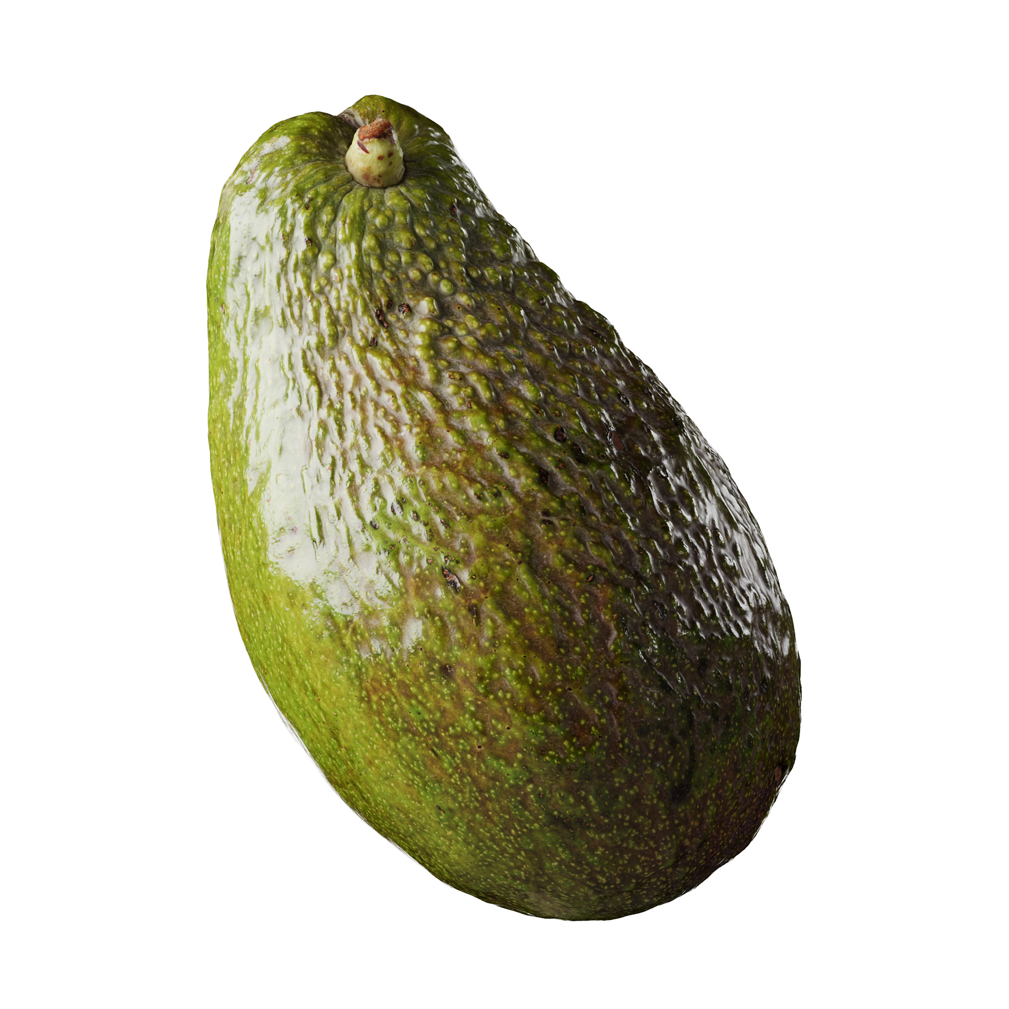 veedpo avocado 3d model preview