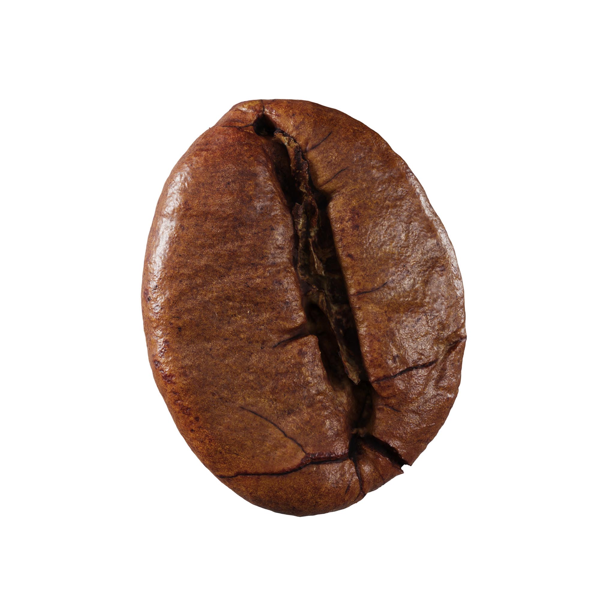 veedpo roasted coffee bean 3d model 3d scan preview