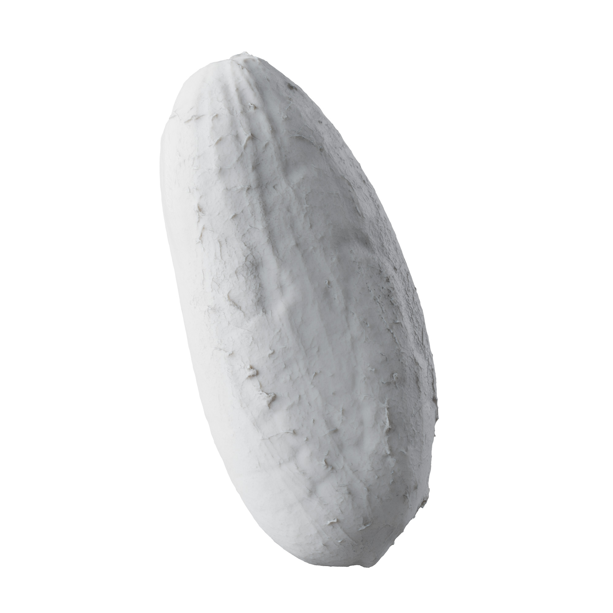 cocoa bean 3d scan 3d model veedpo preview