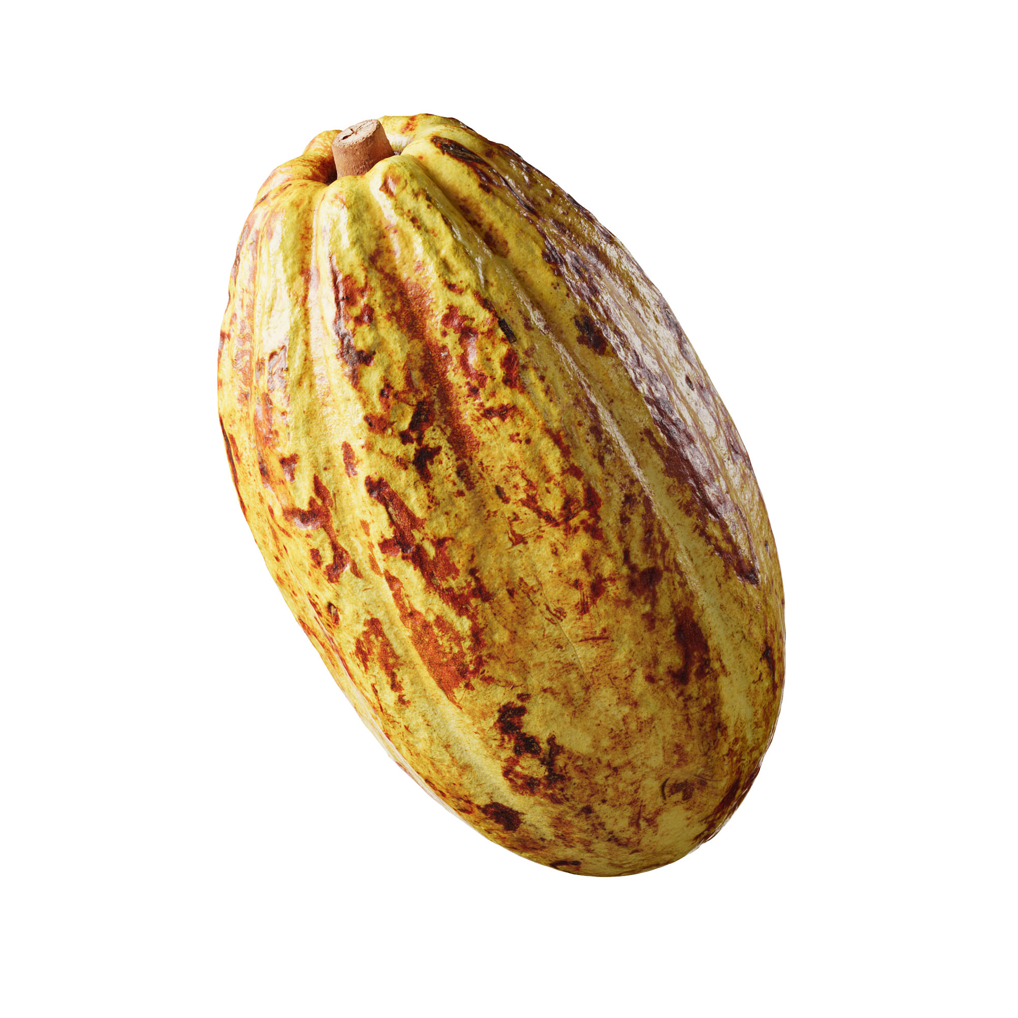 cocoa pod fruit 3d scan 003 photorealistic 3d model veedpo