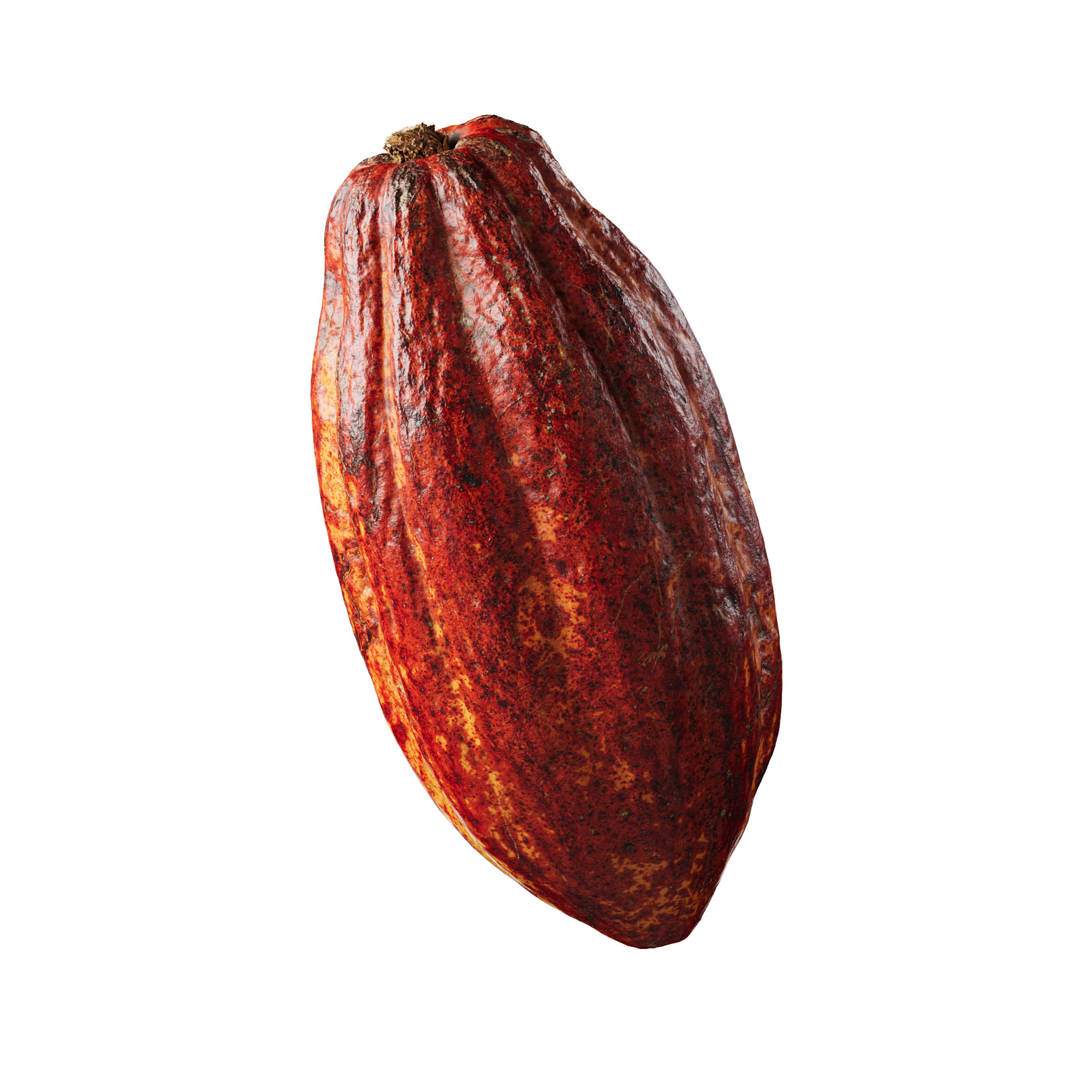 veedpo cocoa pod fruit 002 3d scan 3d model preview