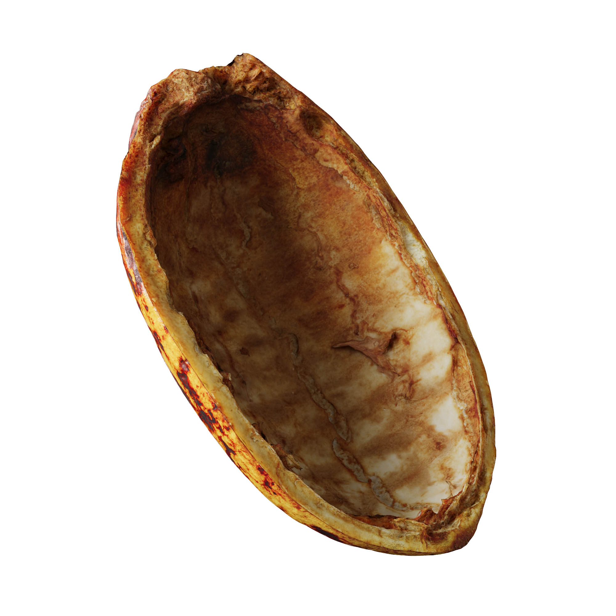 cocoa half pod cocoa half fruit 3d scan 3d photorealistic model 07 veedpo cocoa cacao chocolate