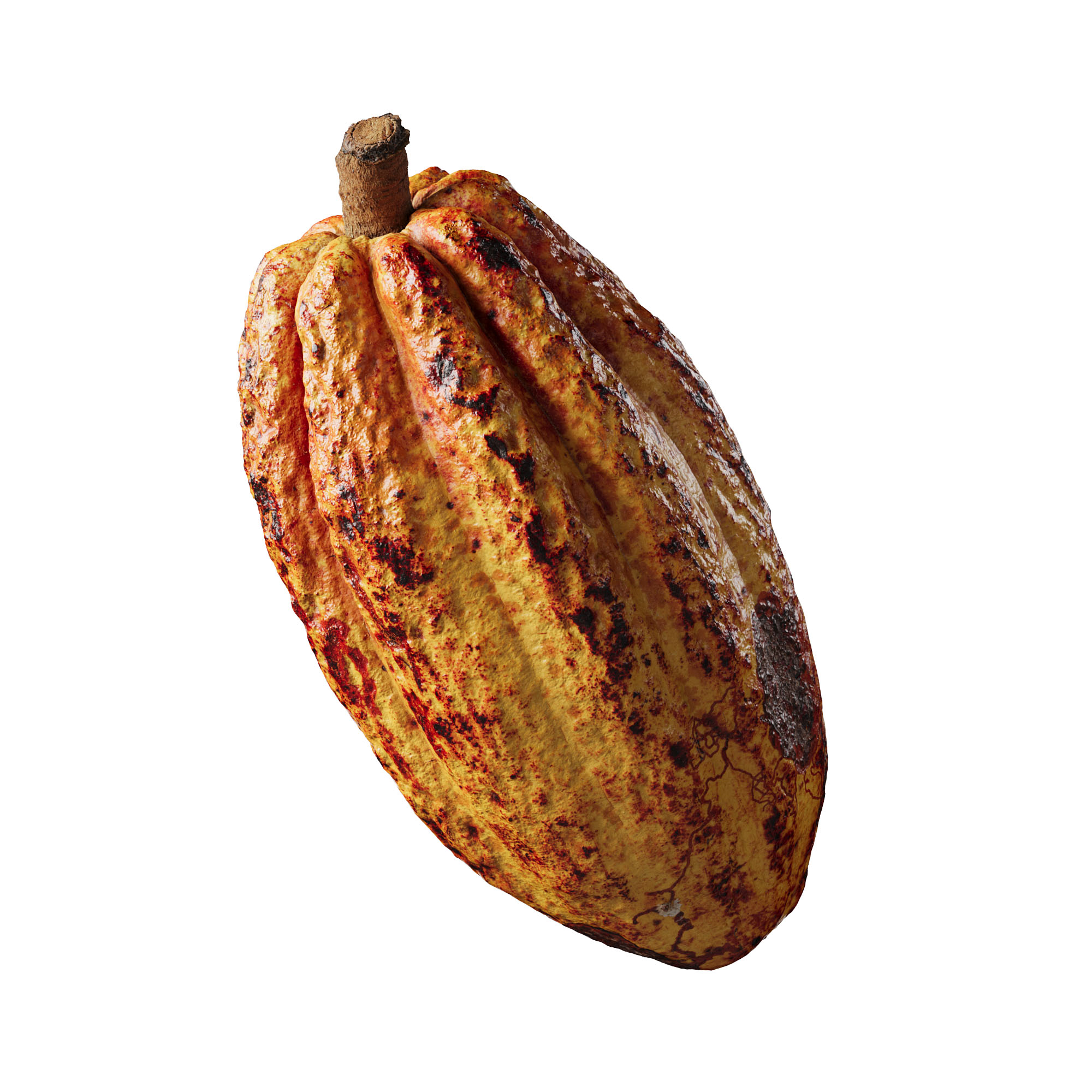 cocoa pod cocoa fruit 3d scan 3d photorealistic model 004 veedpo cocoa cacao chocolate